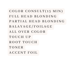 Color consult 15 Min full head blonding Partial head blonding Balayage Foilage all over color Touch up Root Touch toner accent foil